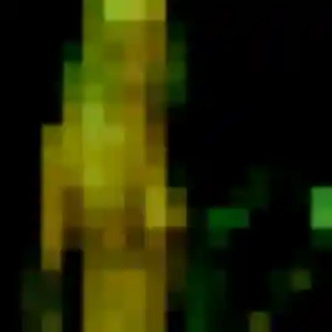 Découvre Elodie, 30 ans à Menton en t'inscrivant