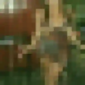 plan cul à Menucourt : photo de Nicole, 34 ans - sans engagement