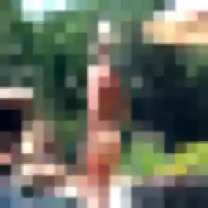 Sofia, 21 ans, dispo pour plan cul à Mériel