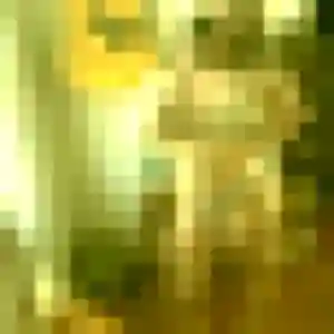 Profil de Hyacinthe à Mérignac (28 ans) - plan cul anonyme