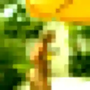 plan cul à Mesnils-sur-Iton : photo de Gladys, 37 ans - accès libre