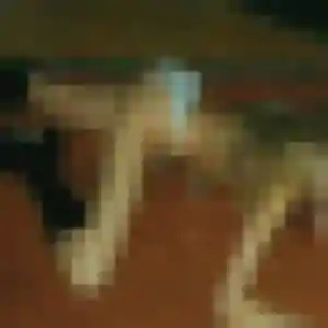 Prisca, fille de 44 ans cherche plan cul à Mesnils-sur-Iton