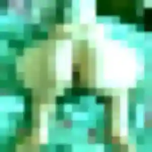 Romina, 19 ans, dispo pour plan cul à Mézidon Vallée d'Auge