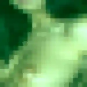 Découvre Emilie, 41 ans à Molsheim en t'inscrivant