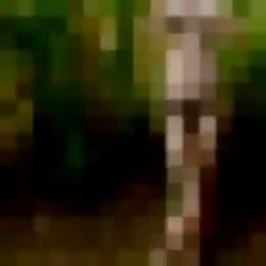 Josephine (32 ans) à Molsheim propose une rencontre aujourd'hui