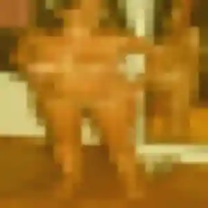 Lise, 31 ans, connectée à Mondeville pour une rencontre coquine