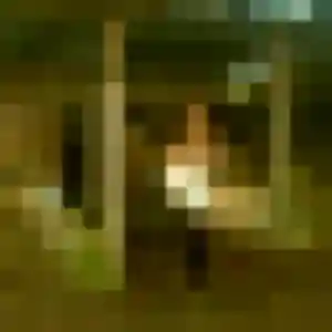 Photo privée de Marie-France, 21 ans à Mondonville - rencontre sans lendemain