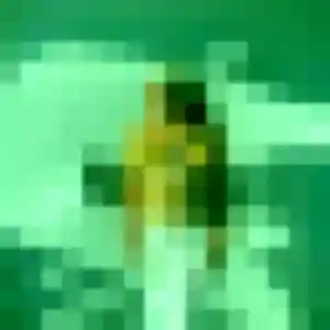 Photo sexy de Flavia, 26 ans à Mons-en-Barœul - rencontre sans lendemain