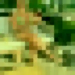 Marie-Jeanne, 29 ans, veut un plan cul à Mont-de-Marsan