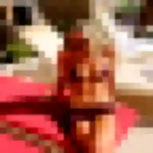 Nolwenn, 38 ans, en ligne à Montaigu-Vendée pour un plan cul