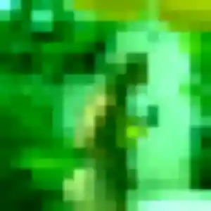 Yvonne, 23 ans, en ligne à Montaigu-Vendée pour une rencontre coquine