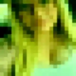 Sexy Lilou, 28 ans à Montataire - la contacter