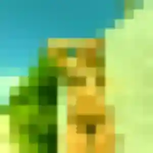 Photo sexy de Sylvie, 39 ans à Montceau-les-Mines - plan discret