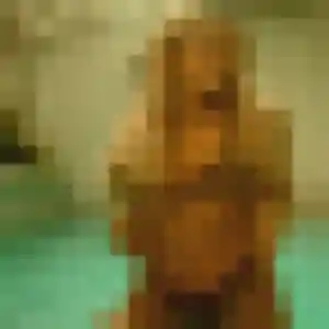 Soraya, 33 ans, disponible à Monteux pour une rencontre coquine