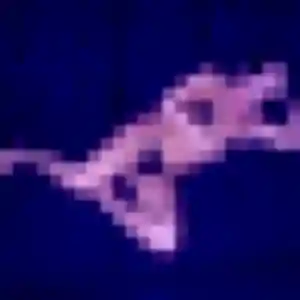 Photo perso de Nora, 30 ans à Montgeron - plan discret