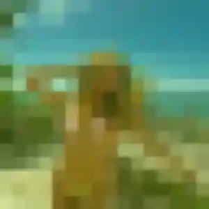 Claire (45 ans) à Montigny-lès-Metz cherche une rencontre rapidement