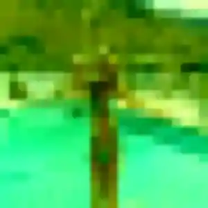 Therese, 36 ans, cherche un plan cul à Montivilliers