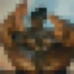 Odile de Montoir-de-Bretagne, 32 ans - plan cul en toute liberté