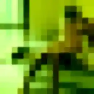 Photo de Lola à Montreuil-Juigné (26 ans) - plan cul anonyme