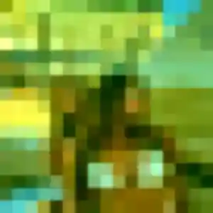 Nora, fille de 24 ans cherche plan cul à Montrevault-sur-Èvre