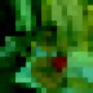 Photo privée de Delia, 20 ans à Montrouge - rencontre sans lendemain