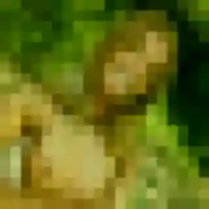 Sexy Zineb, 42 ans à Monts - découvrir son profil