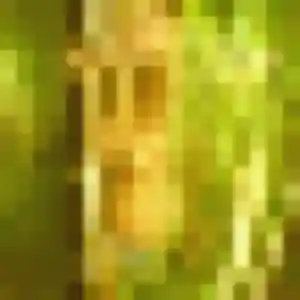 Sexy Imane, 29 ans à Morlaix - découvrir son profil