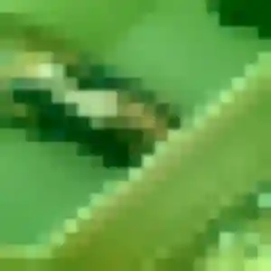 Laure de Morlaix, 37 ans - plan cul sans prise de tête