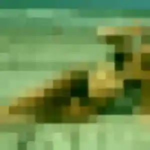 Charmante Juliette, 22 ans à Morteau - la contacter