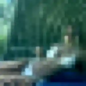 Photo de Anouk à Mouilleron-le-Captif (20 ans) - plan cul sans inscription