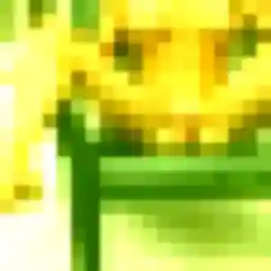 Contacte Zoe, 24 ans à Mouilleron-le-Captif en t'inscrivant