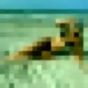 Photo privée de Axelle, 20 ans à Nanterre - rencontre coquine