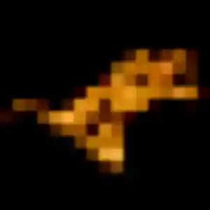 Découvre Gwenaelle, 26 ans à Nanterre gratuitement