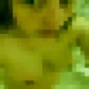 Photo exclusive de Christine, 39 ans à Narbonne - rencontre sans lendemain