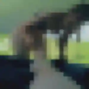 Zina, femme de 29 ans propose plan cul à Nérac