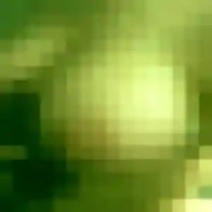 Belle Estelle, 35 ans à Neuville-en-Ferrain - découvrir son profil