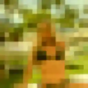 plan cul à Nice : photo de Colombe, 35 ans - accès libre