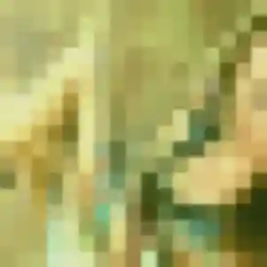 Rencontre Nolwenn, 45 ans à Nieppe gratuitement