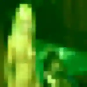 Leonore, 42 ans, veut un plan cul à Nieul-sur-Mer