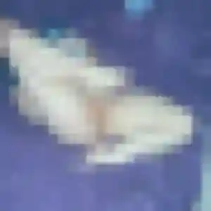 Giulia, fille de 22 ans veut plan cul à Noisy-le-Grand