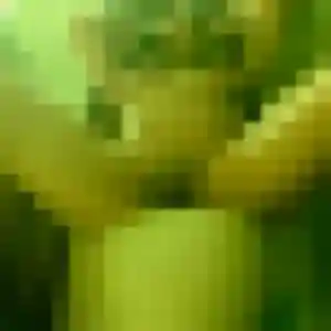 Contacte Audrey, 45 ans à Notre-Dame-de-Bondeville en privé