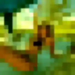 Colombe, 37 ans, connectée à Noves pour une rencontre coquine