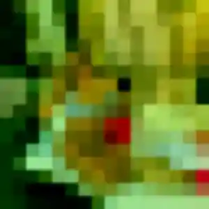 Charmante Heloise, 33 ans à Noyal-sur-Vilaine - voir sa photo