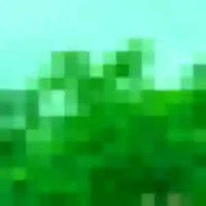 Rejoins Diane, 45 ans à Noyelles-Godault en t'inscrivant