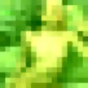 Rencontre Audrey, 26 ans à Nueil-les-Aubiers gratuitement