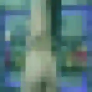 Colombine (40 ans) à Nyons propose un plan cul aujourd'hui