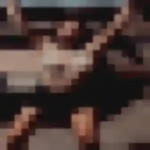 Photo de Tamara à Oberhausbergen (25 ans) - plan cul sans inscription