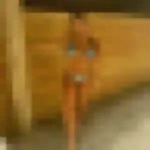 Verane, 28 ans, dispo pour plan cul à Oberhausbergen