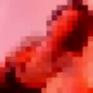 Photo privée de Charlotte, 21 ans à Orange - rencontre sans lendemain