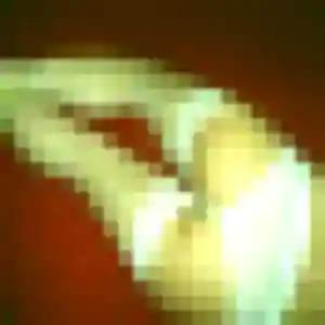 Marilou de Orchies, 36 ans - plan cul discret